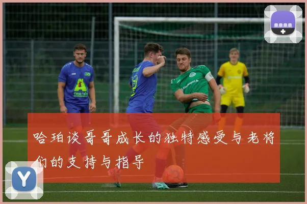 哈珀谈哥哥成长的独特感受与老将们的支持与指导
